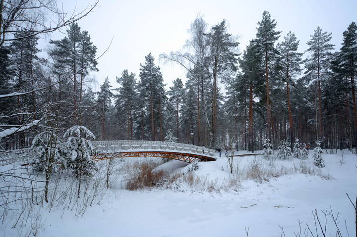 В некотором царстве