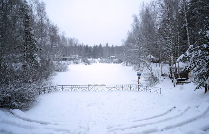 В некотором царстве