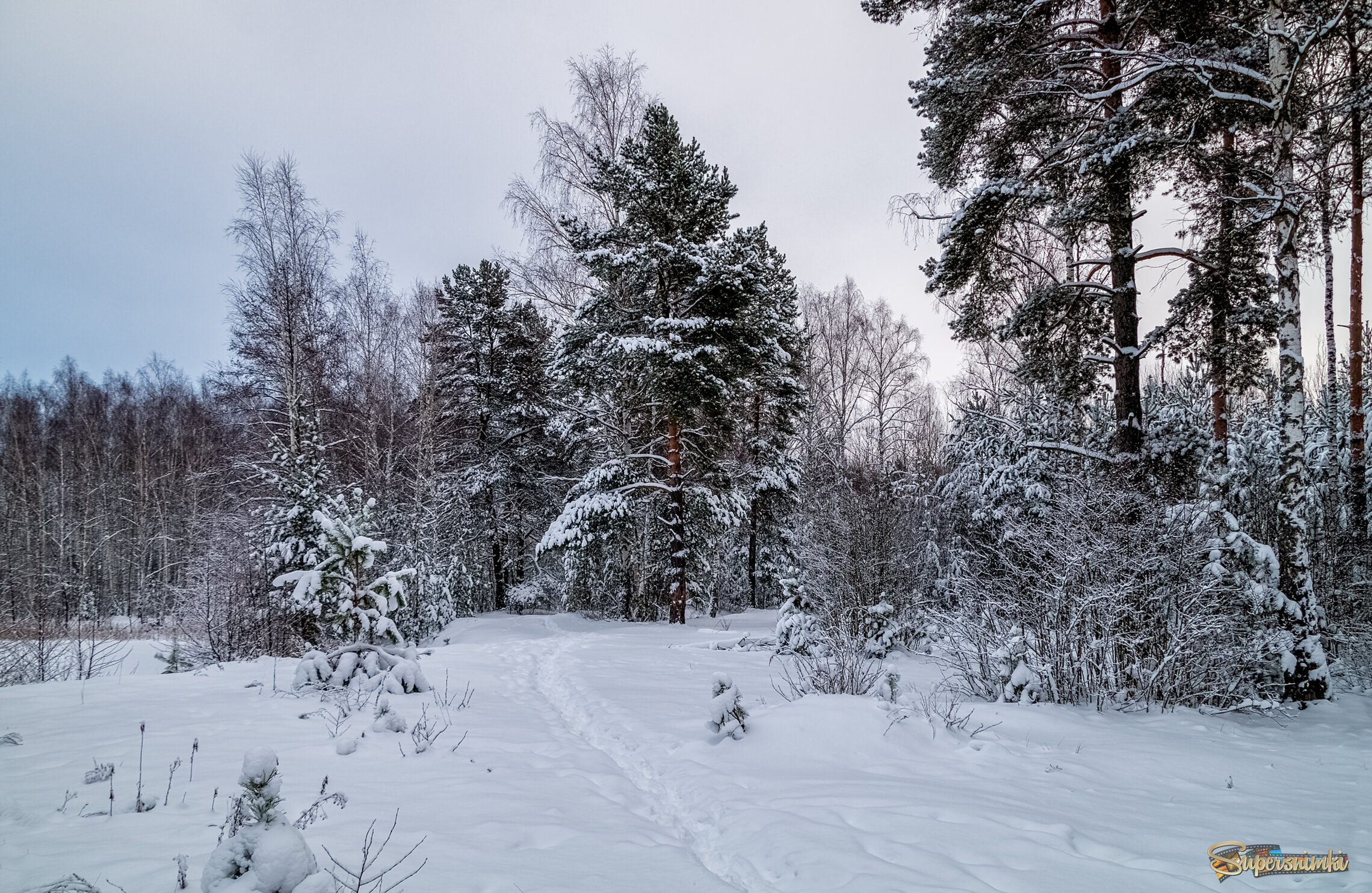 Первые дни нового года 9 