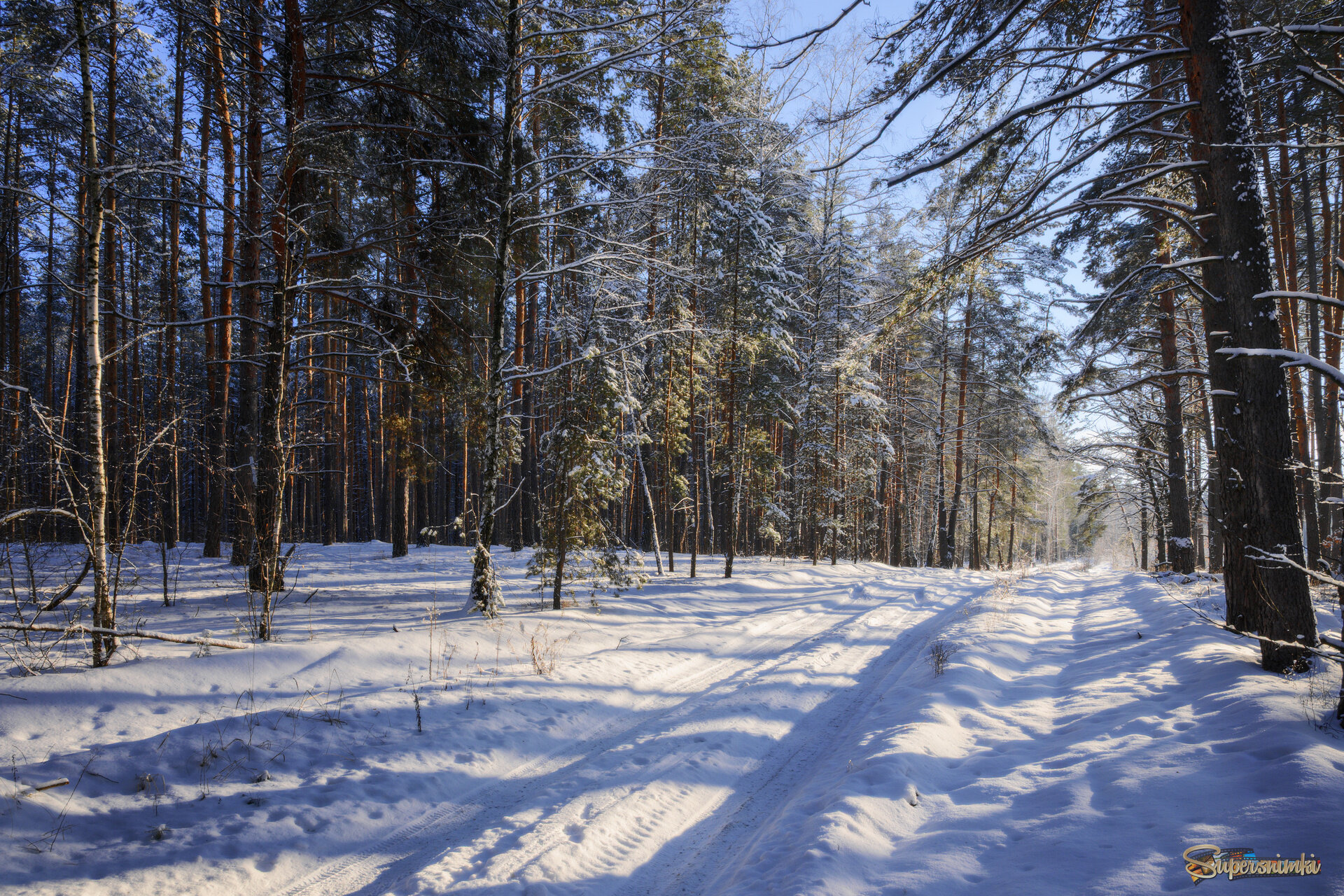 Эх, по дорожке, да по снежной! 