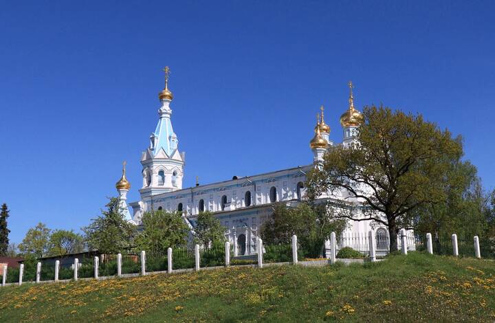 б/н