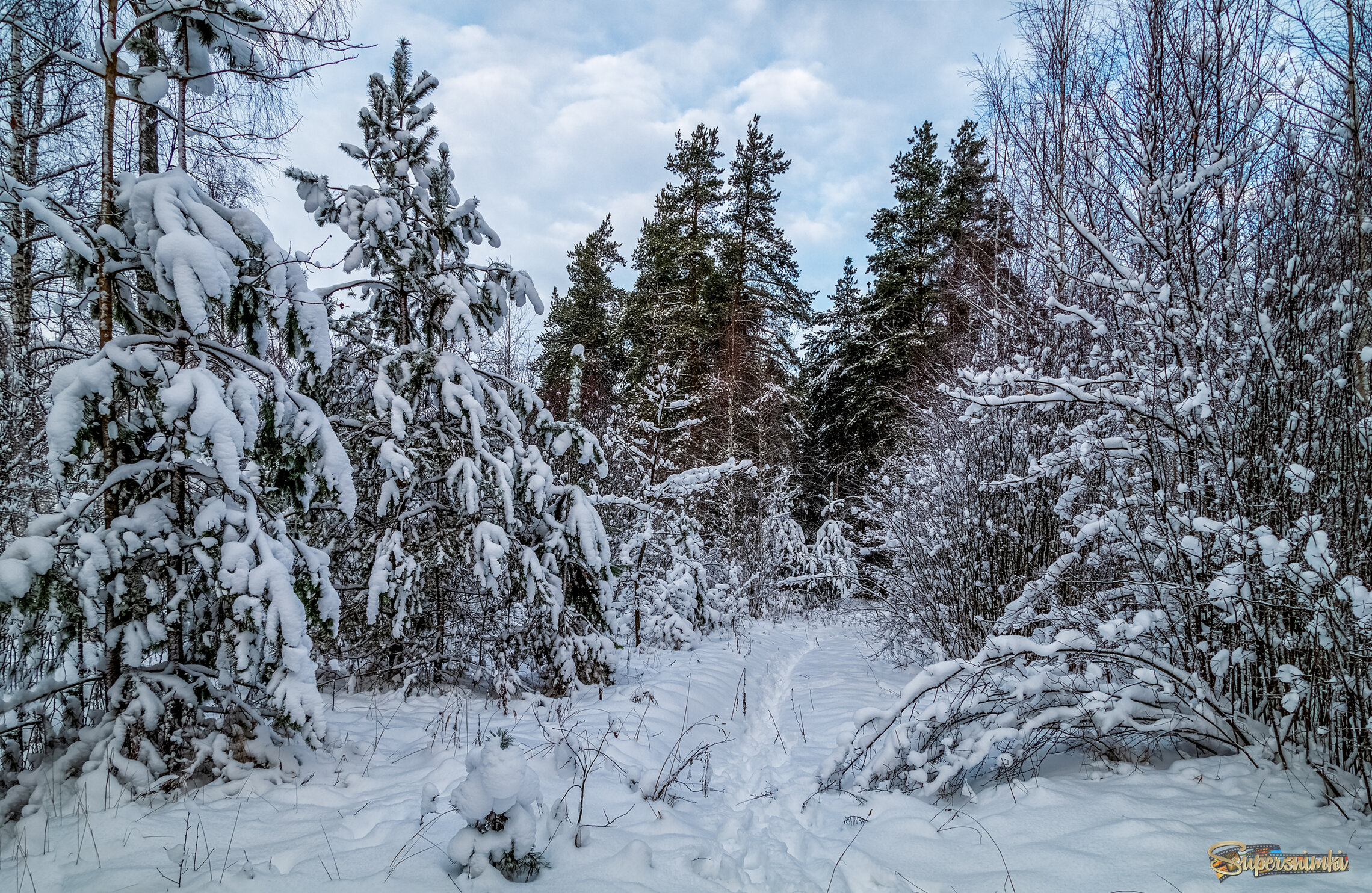 Четвертый день нового года 