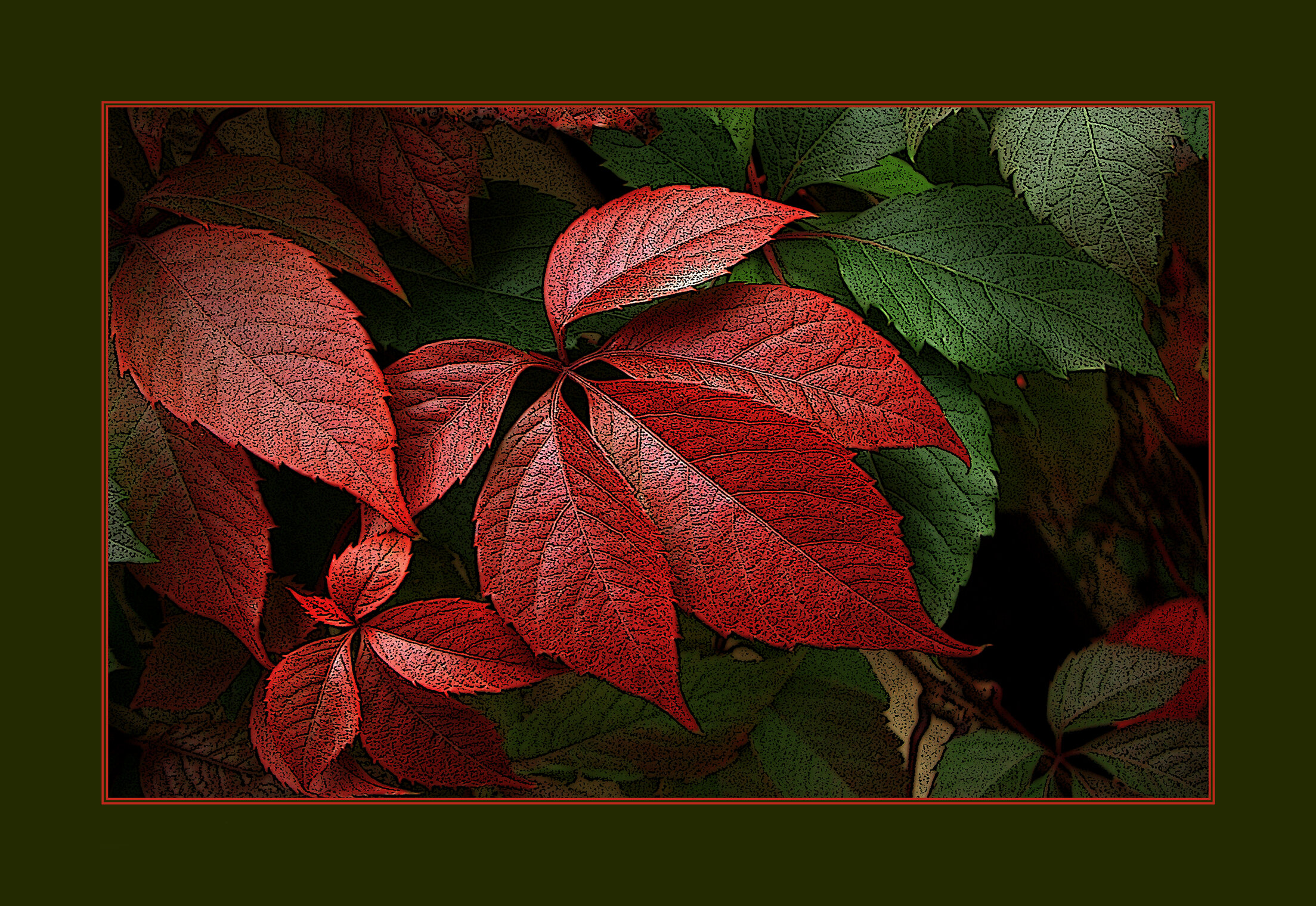 КРАСНОЕ Flora