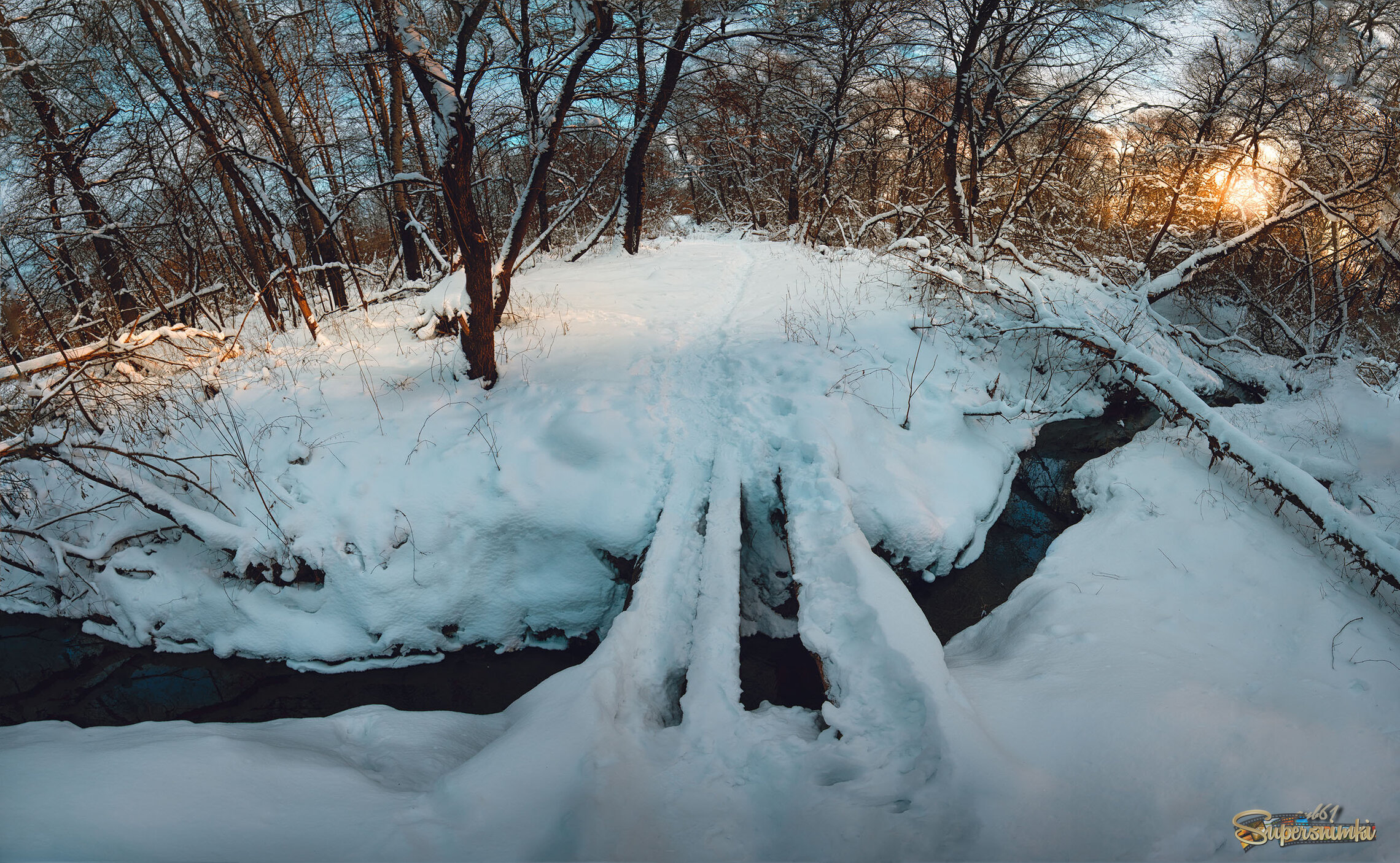 Лесной ручей