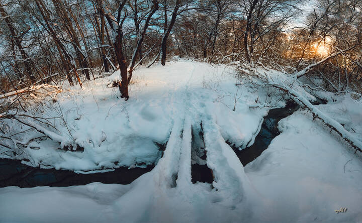 Лесной ручей