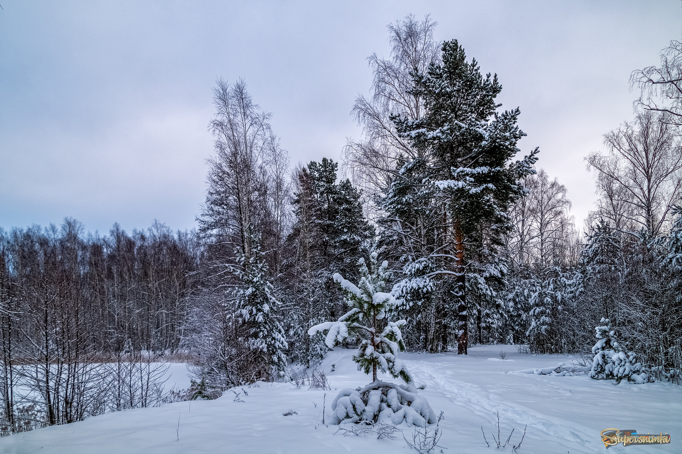 Первые дни нового года 11 