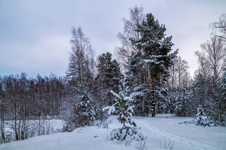 Первые дни нового года 11 