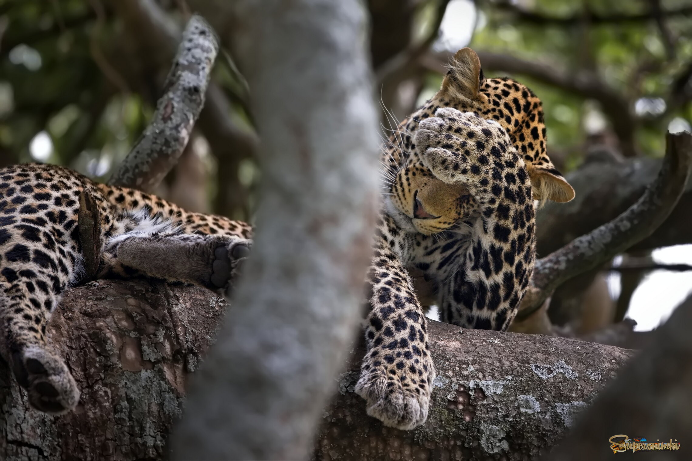 Как же вы мне все надоели!