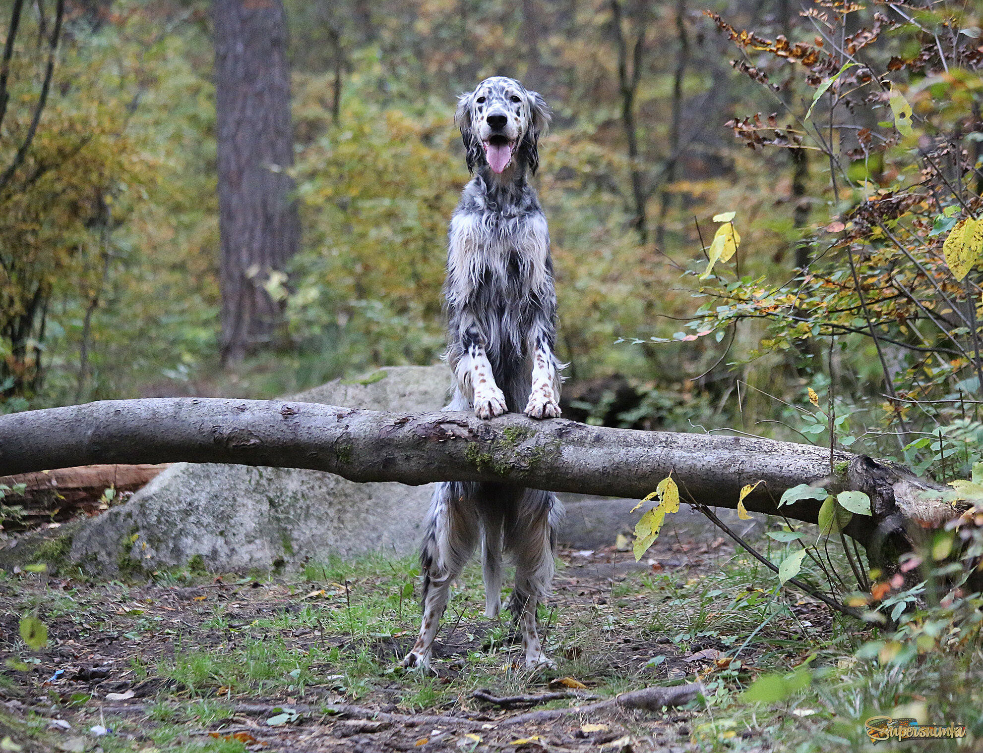 На прогулке