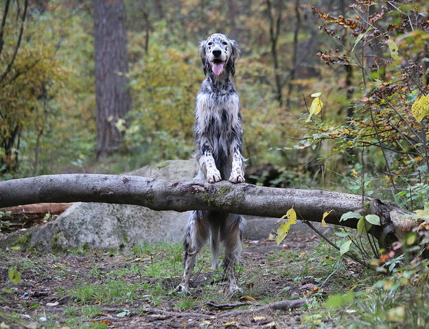 На прогулке