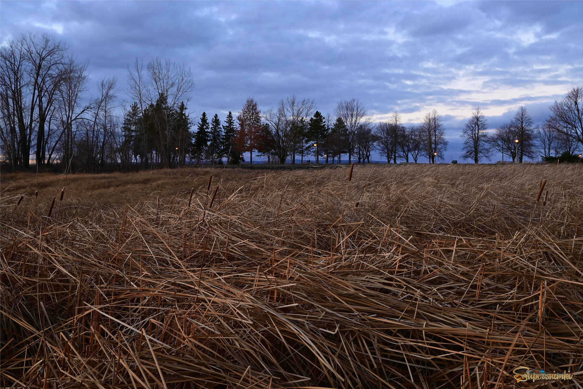Спускалась ночь на реку