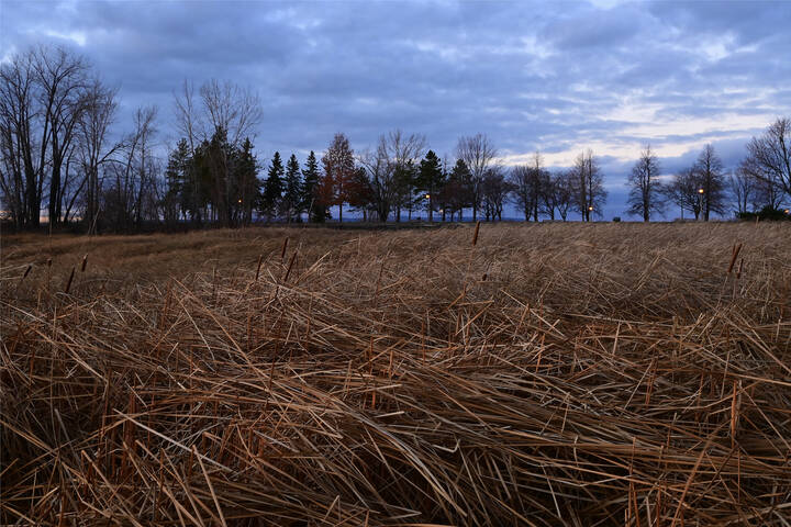 Спускалась ночь на реку