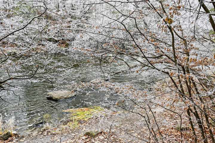 Мир заиндевелый