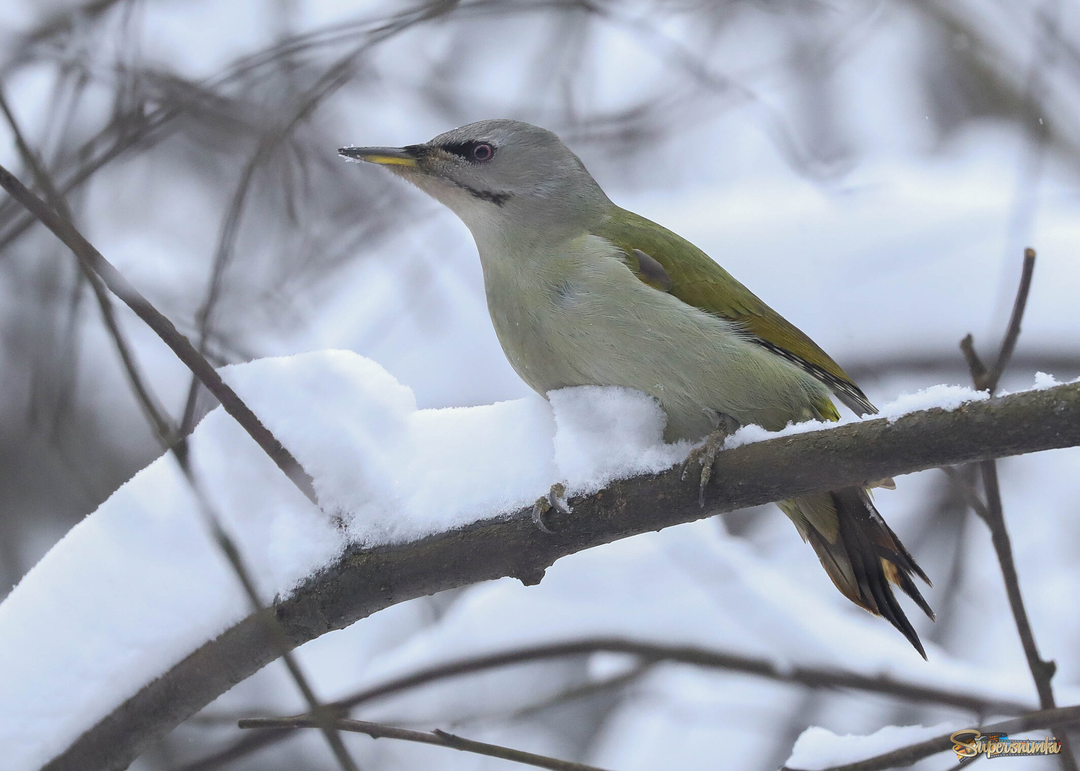 Снежные ванны