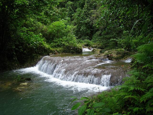 На острове Малаита.