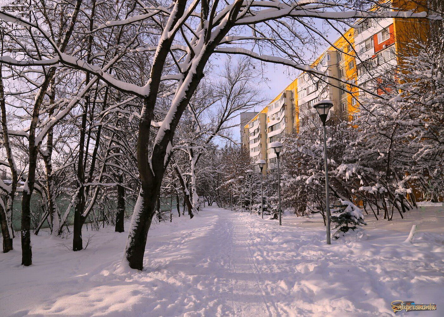 Солнечный день