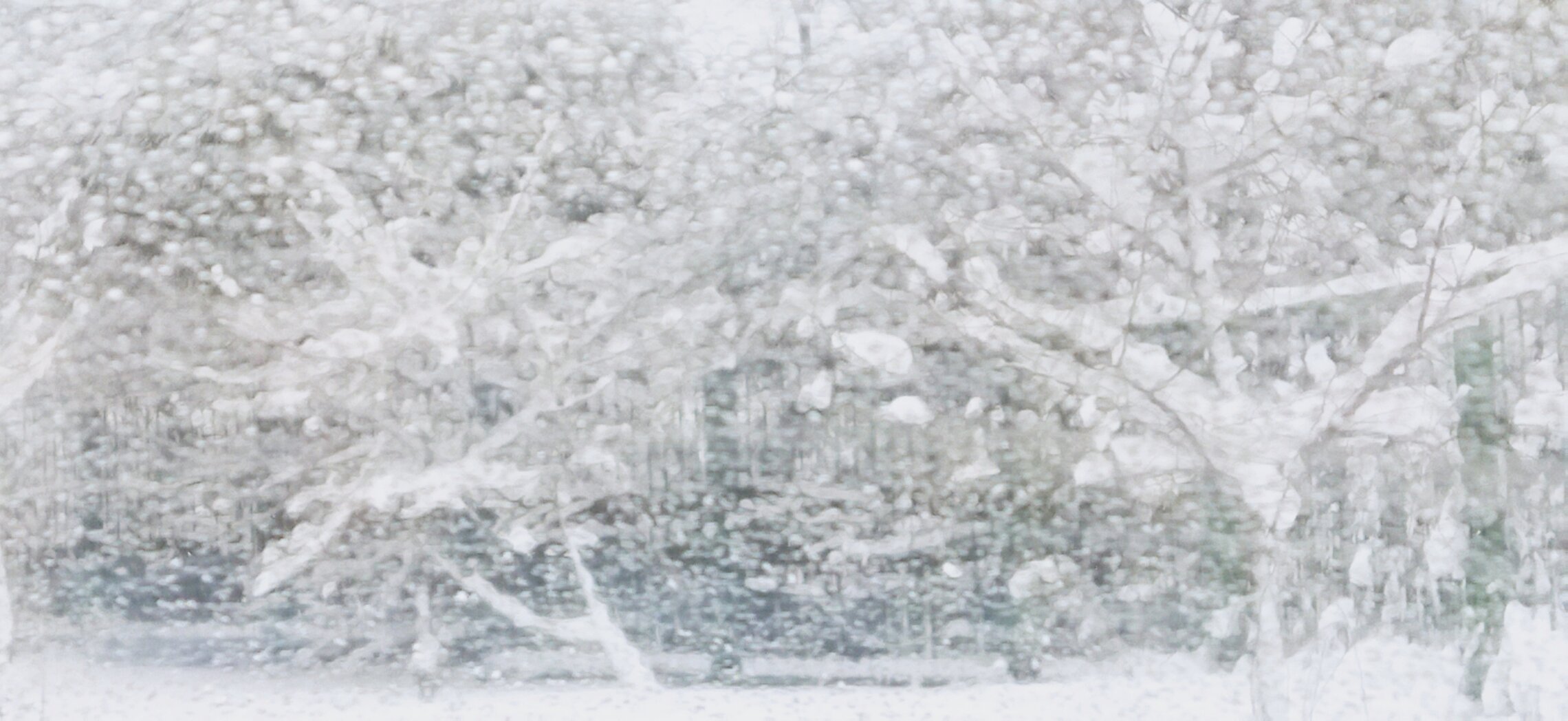 день второго января