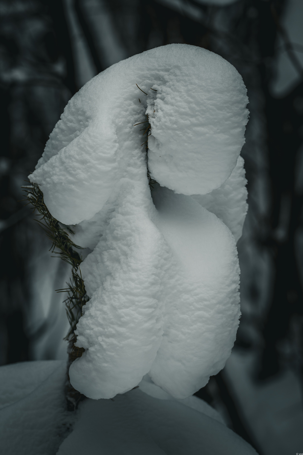 Гомункул (лат. homunculus — «человечек») — мифическое или искусственно созданное существо маленького размера, обладающее человекоподобными чертами.