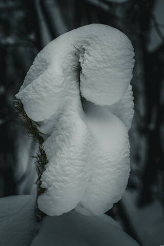 Гомункул (лат. homunculus — «человечек») — мифическое или искусственно созданное существо маленького размера, обладающее человекоподобными чертами.