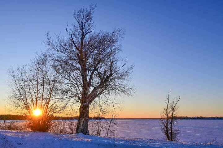 Смещение во времени