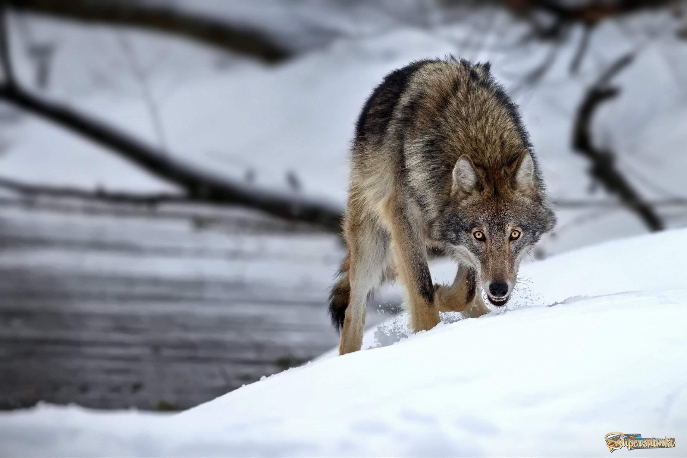 Сейчас познакомимся поближе!