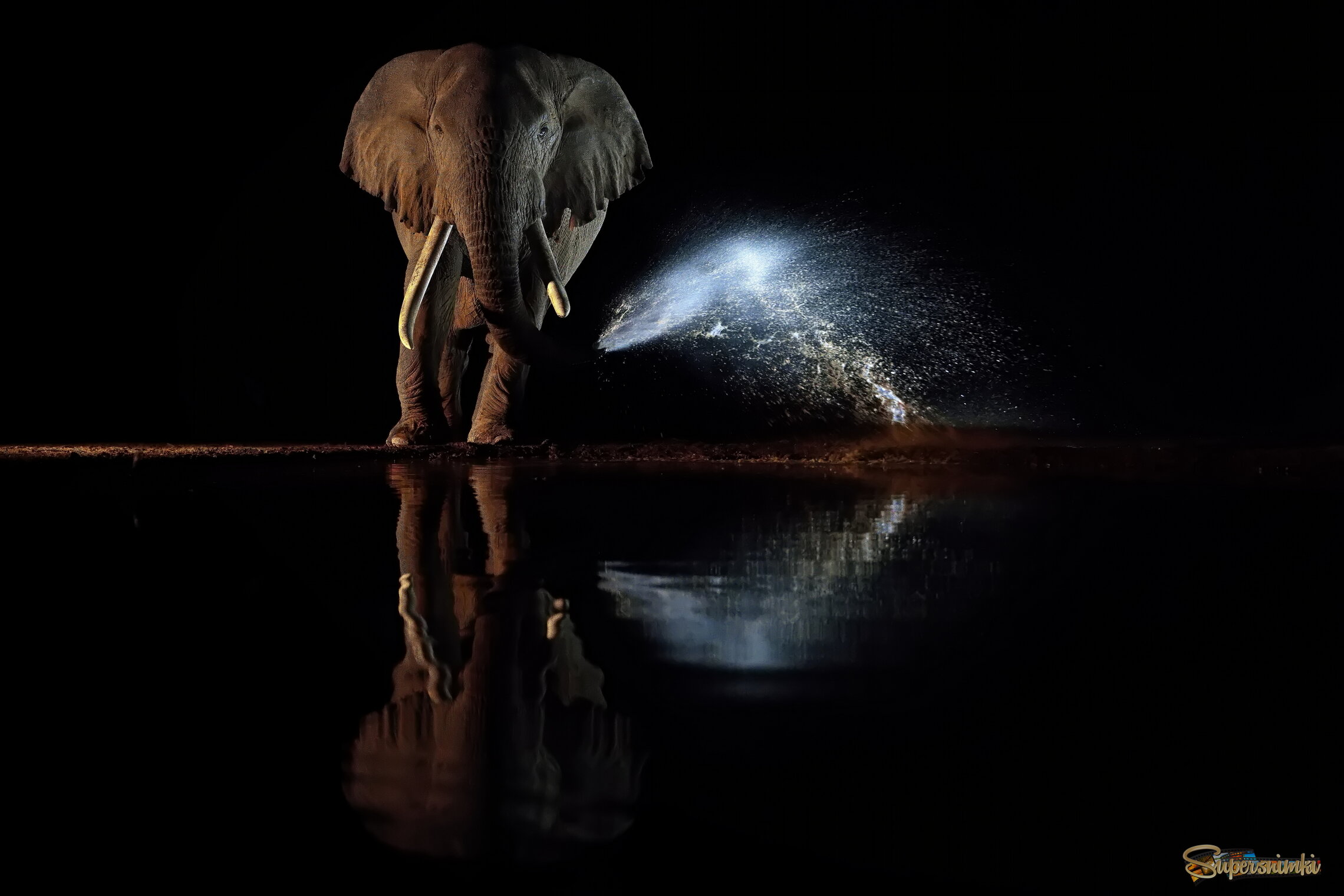 Поливальщик