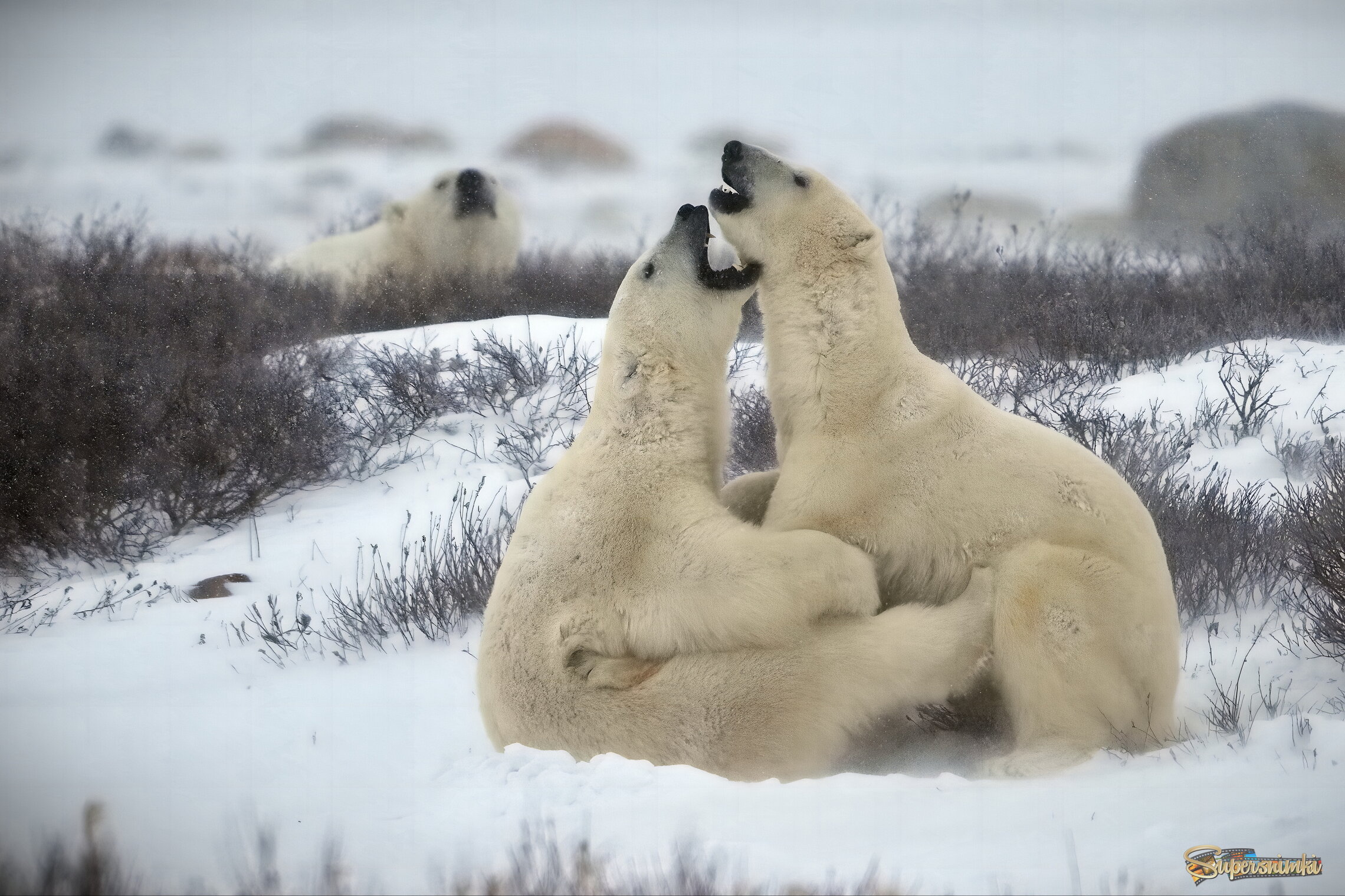 Когда третий - лишний!