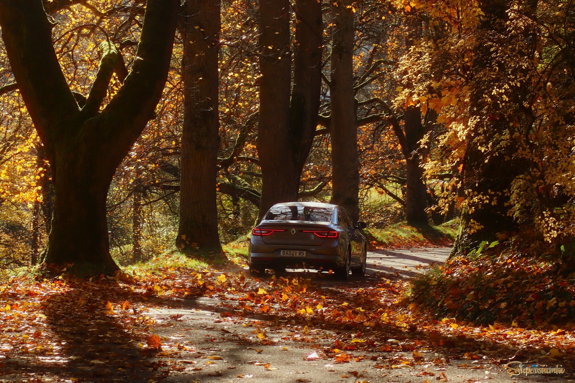 На прогулку в лес осенний 