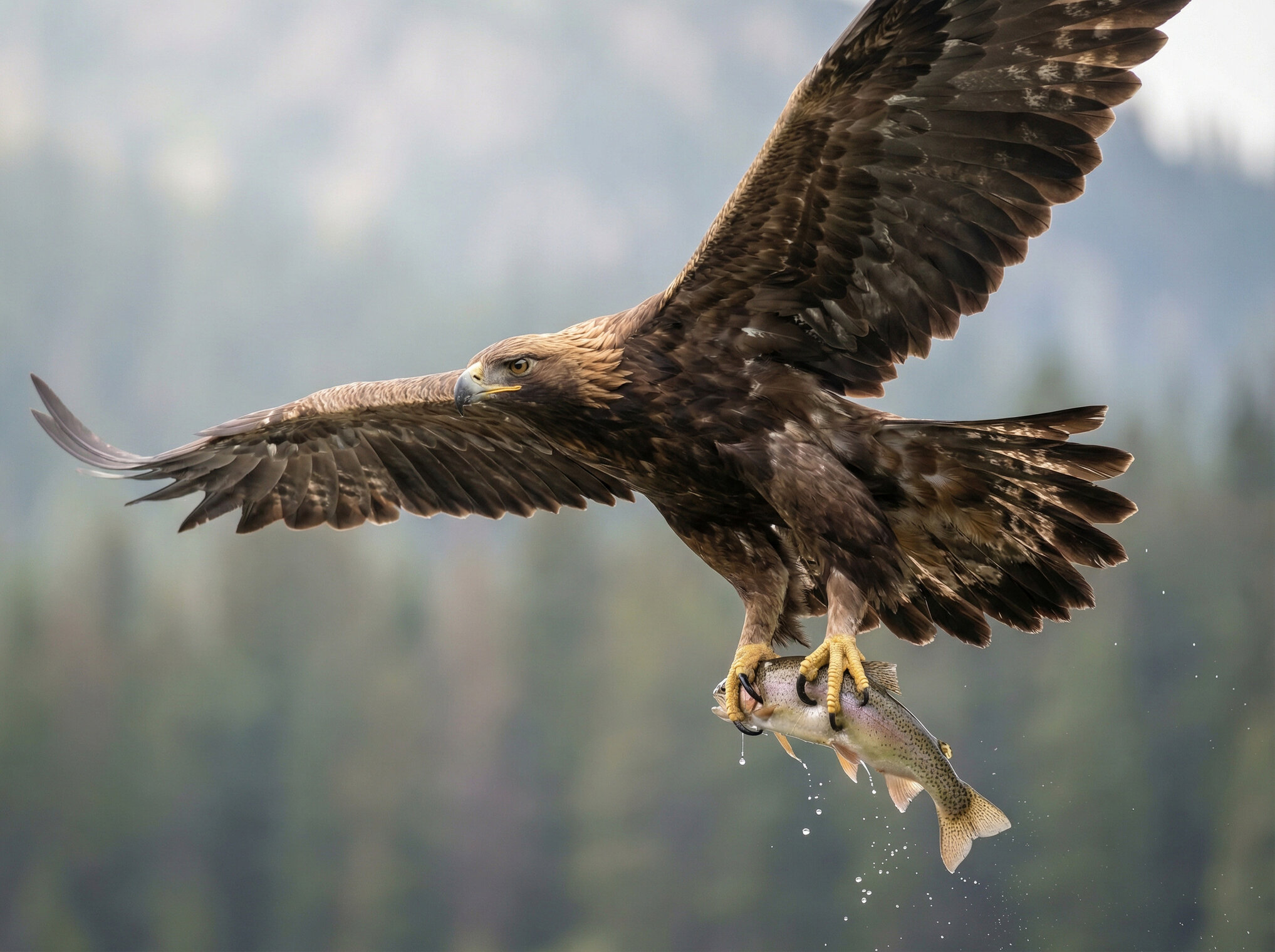 696a568ca2a4598767e89f66