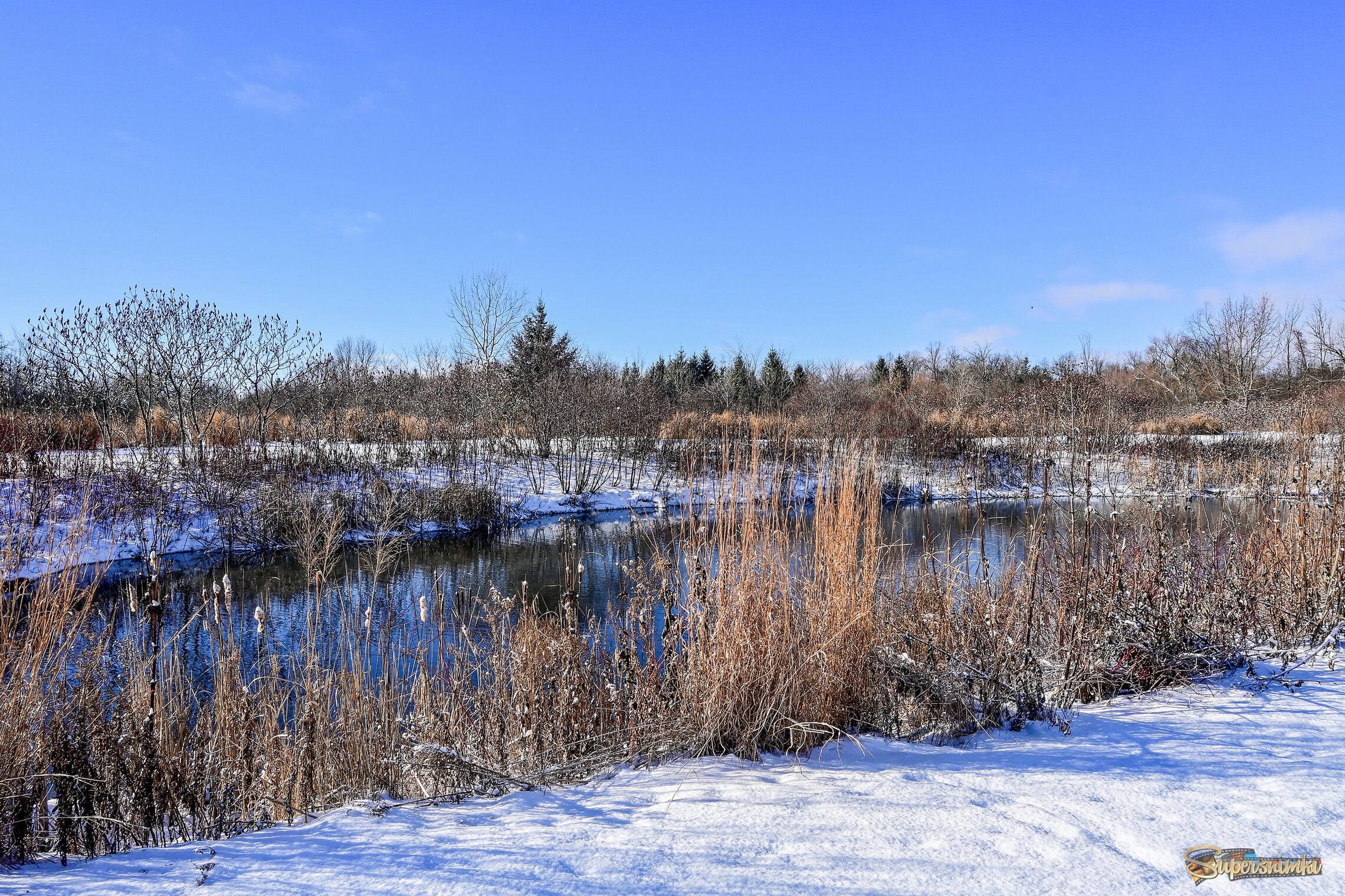 Снега частичные