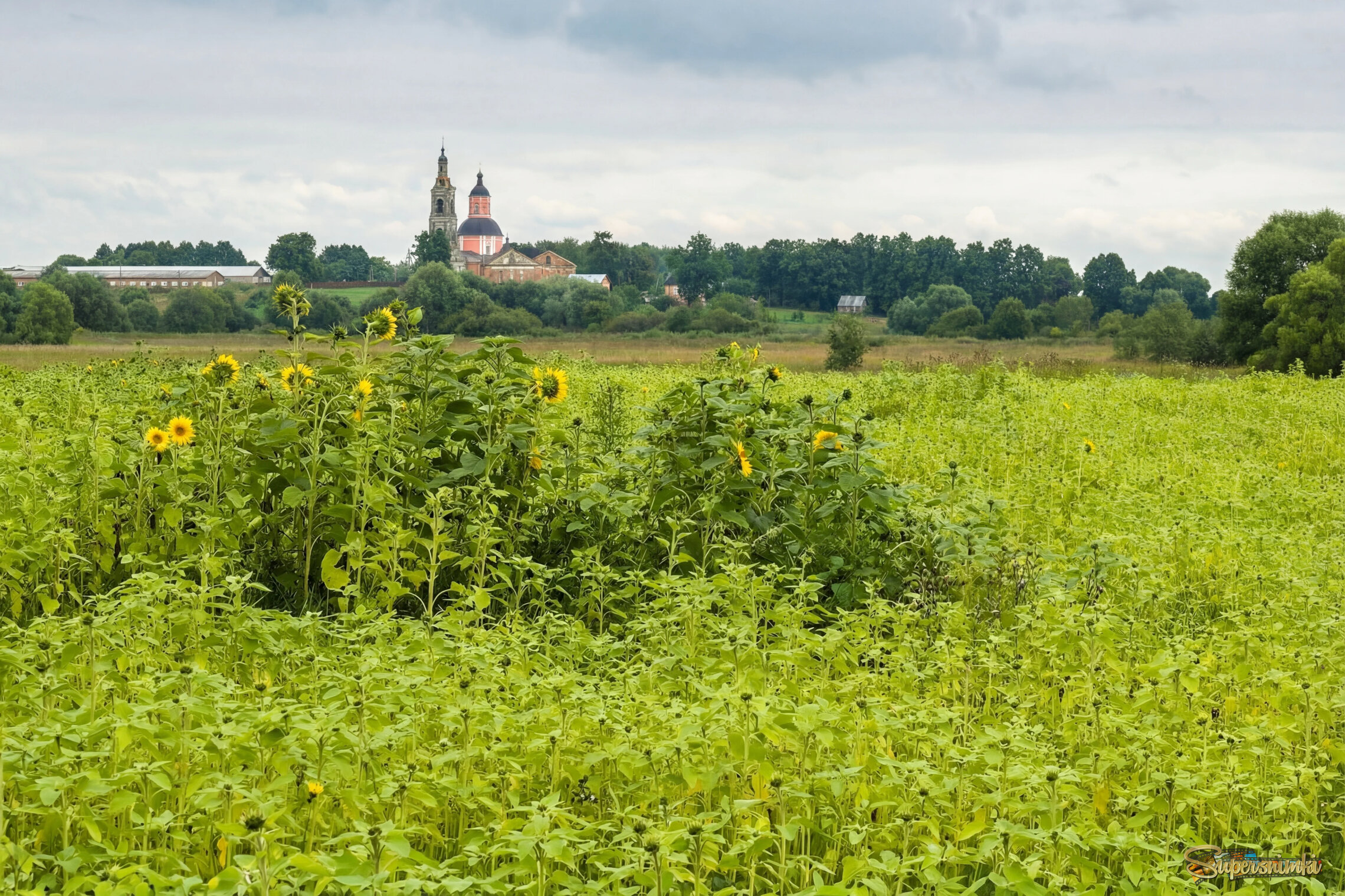 Где-то под Волоколамском