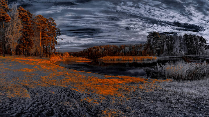 Вечер осеннего молчания