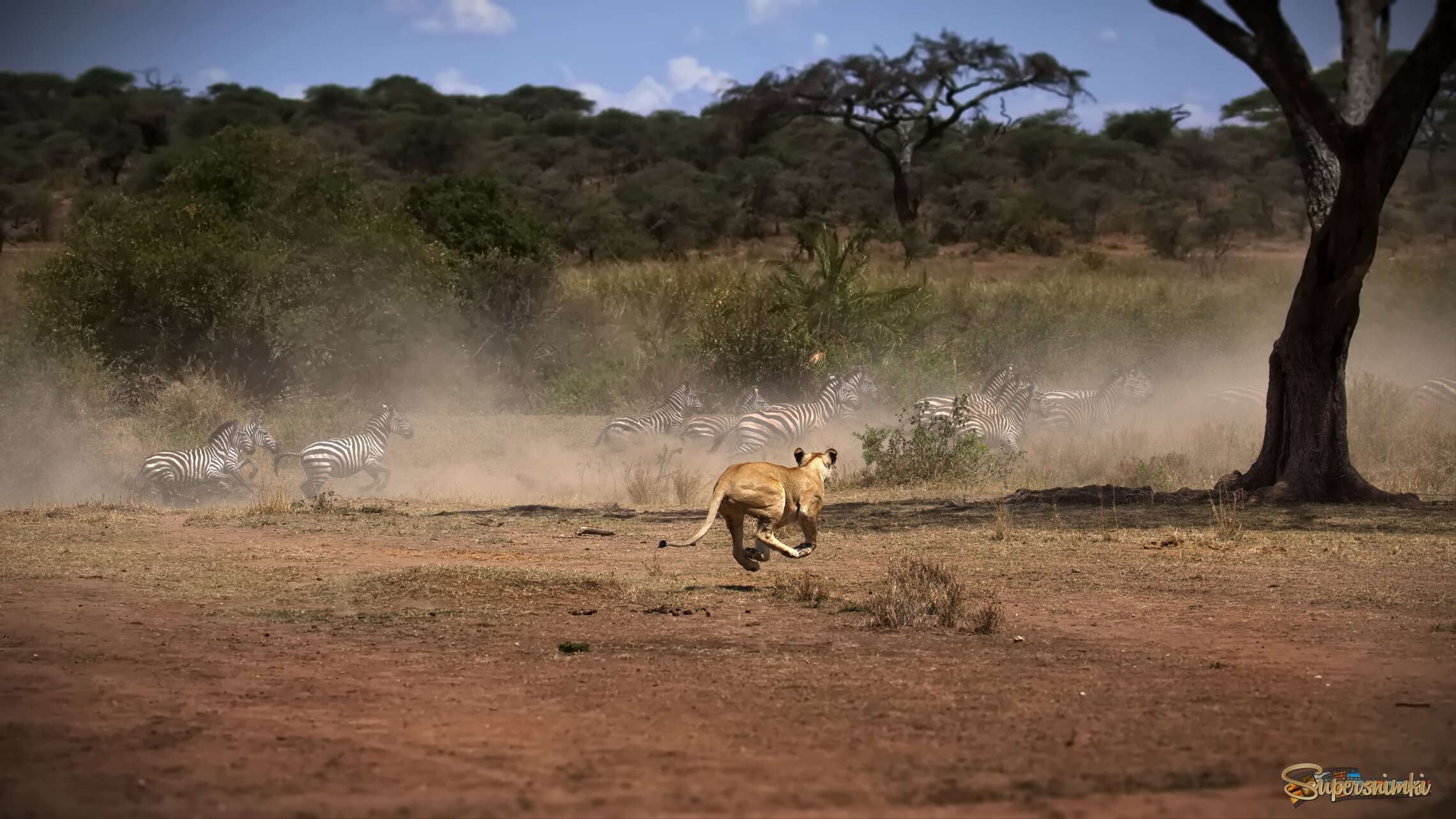 Охота начинается с азарта