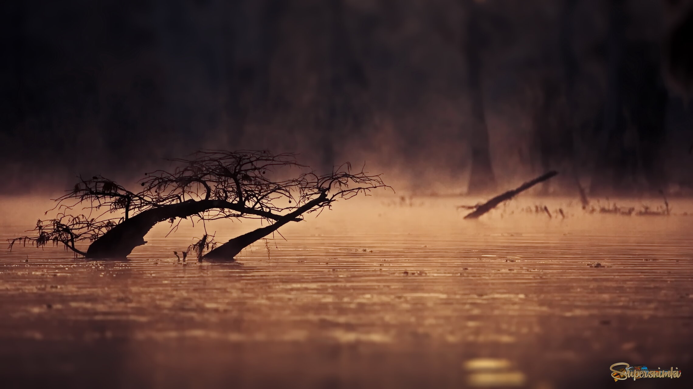 Мистика коряжестости