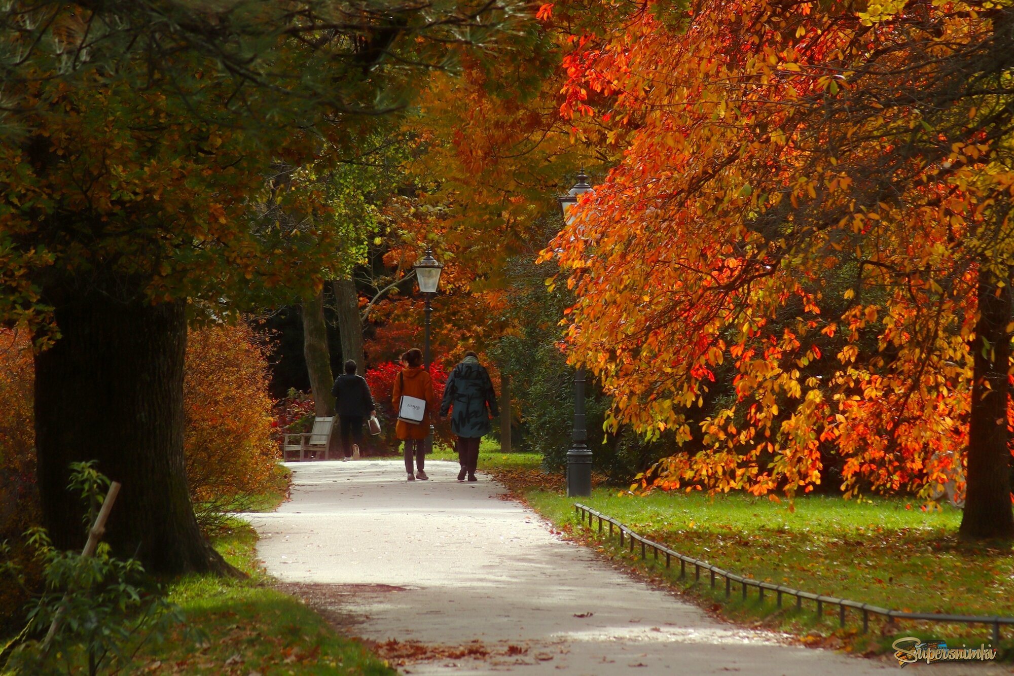 Лихтенталер аллея