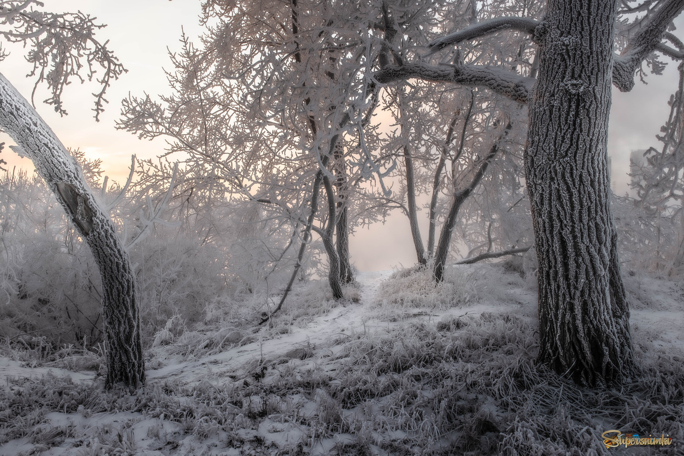 Укромный уголок.