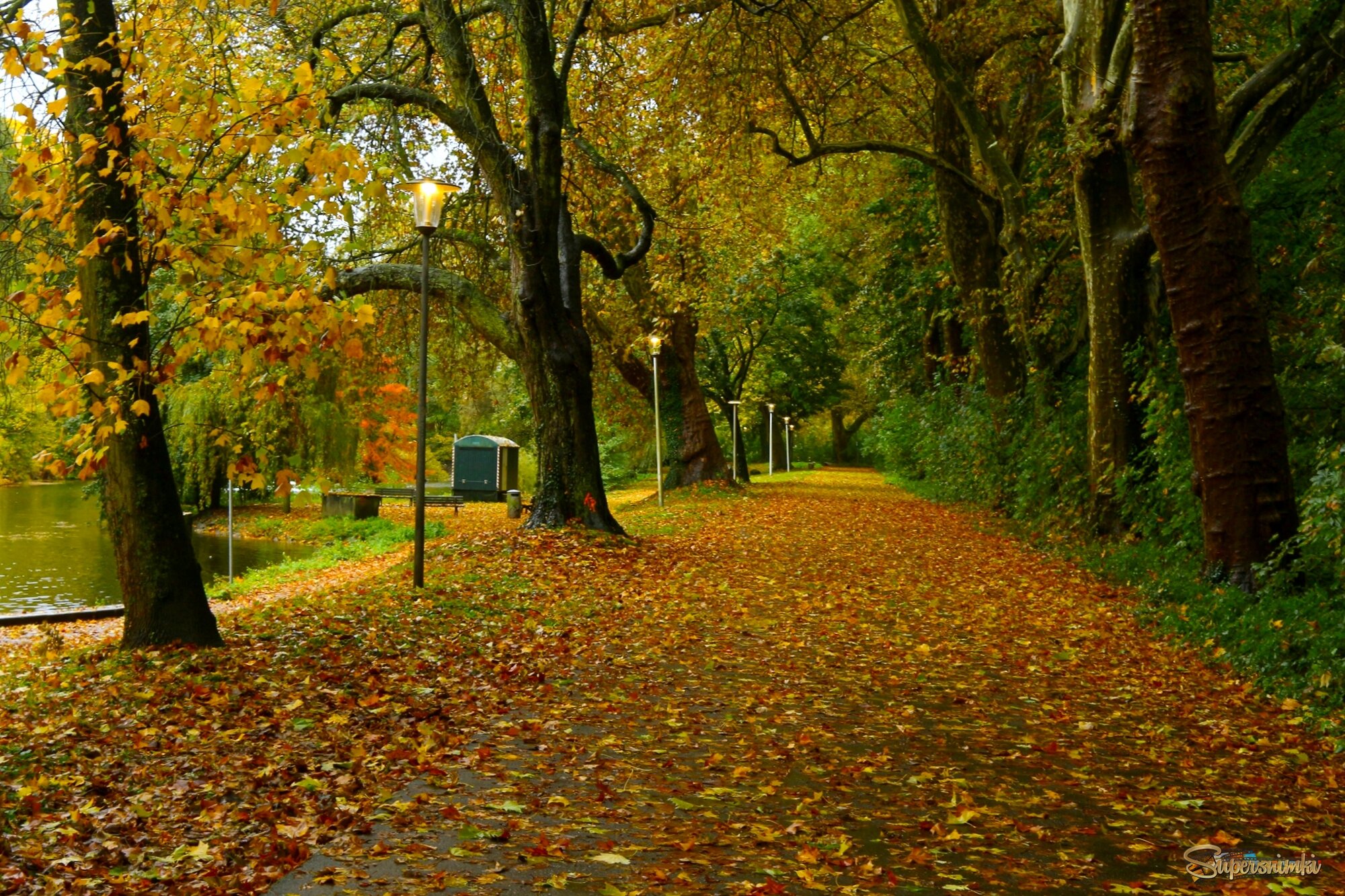 Октябрь гуляет в парке