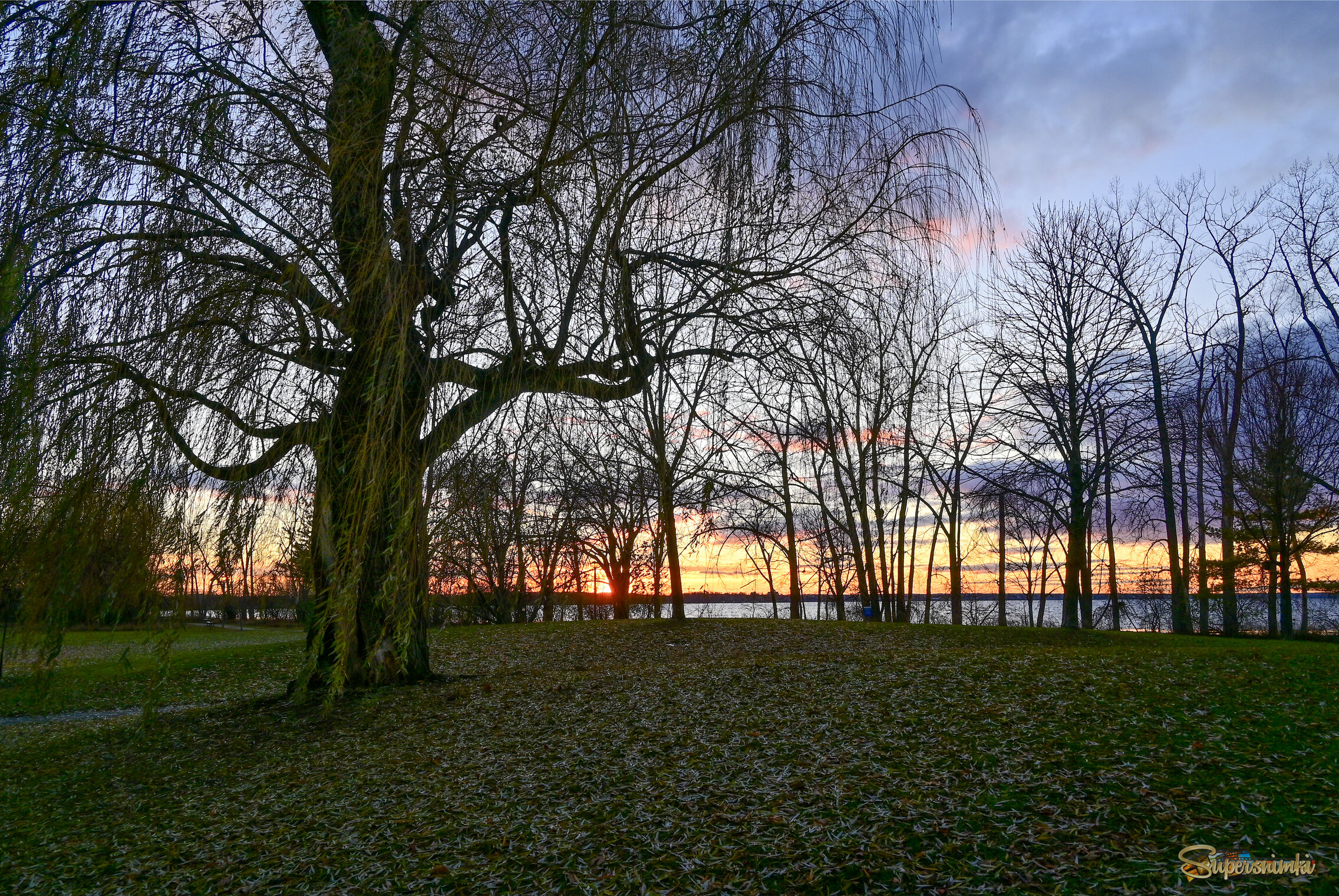 Ив плетенье