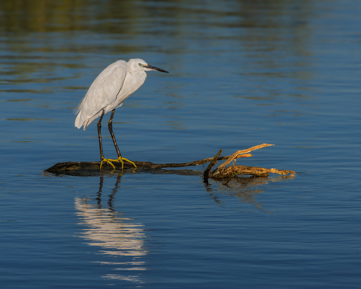 Я и мое отражение