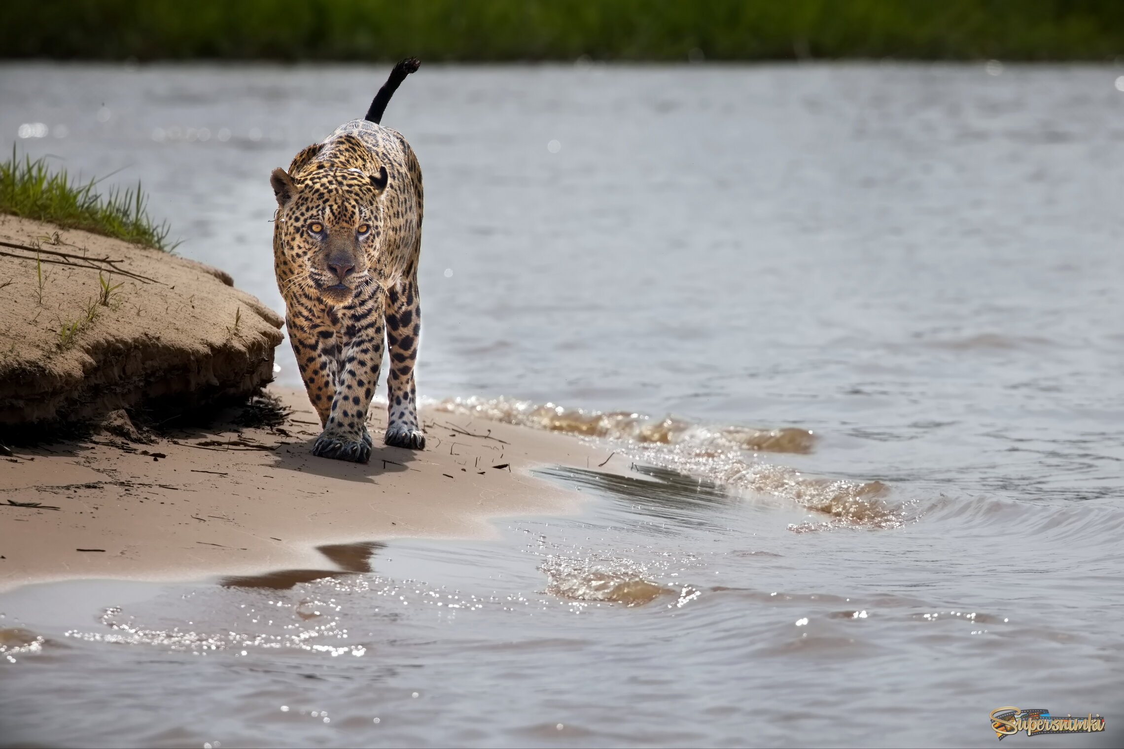 Обход владений