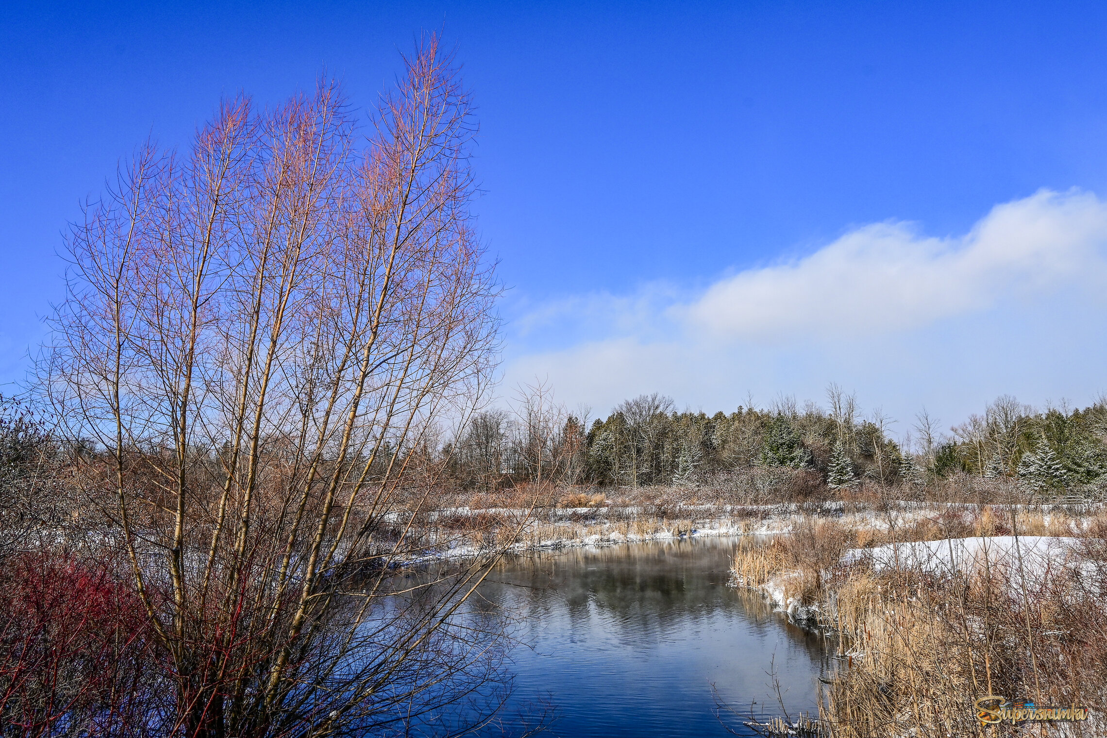 Под голубыми небесами