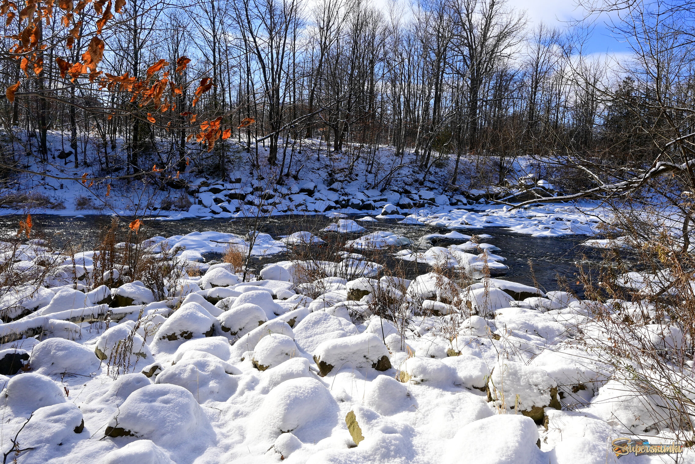 Год пушистых камней