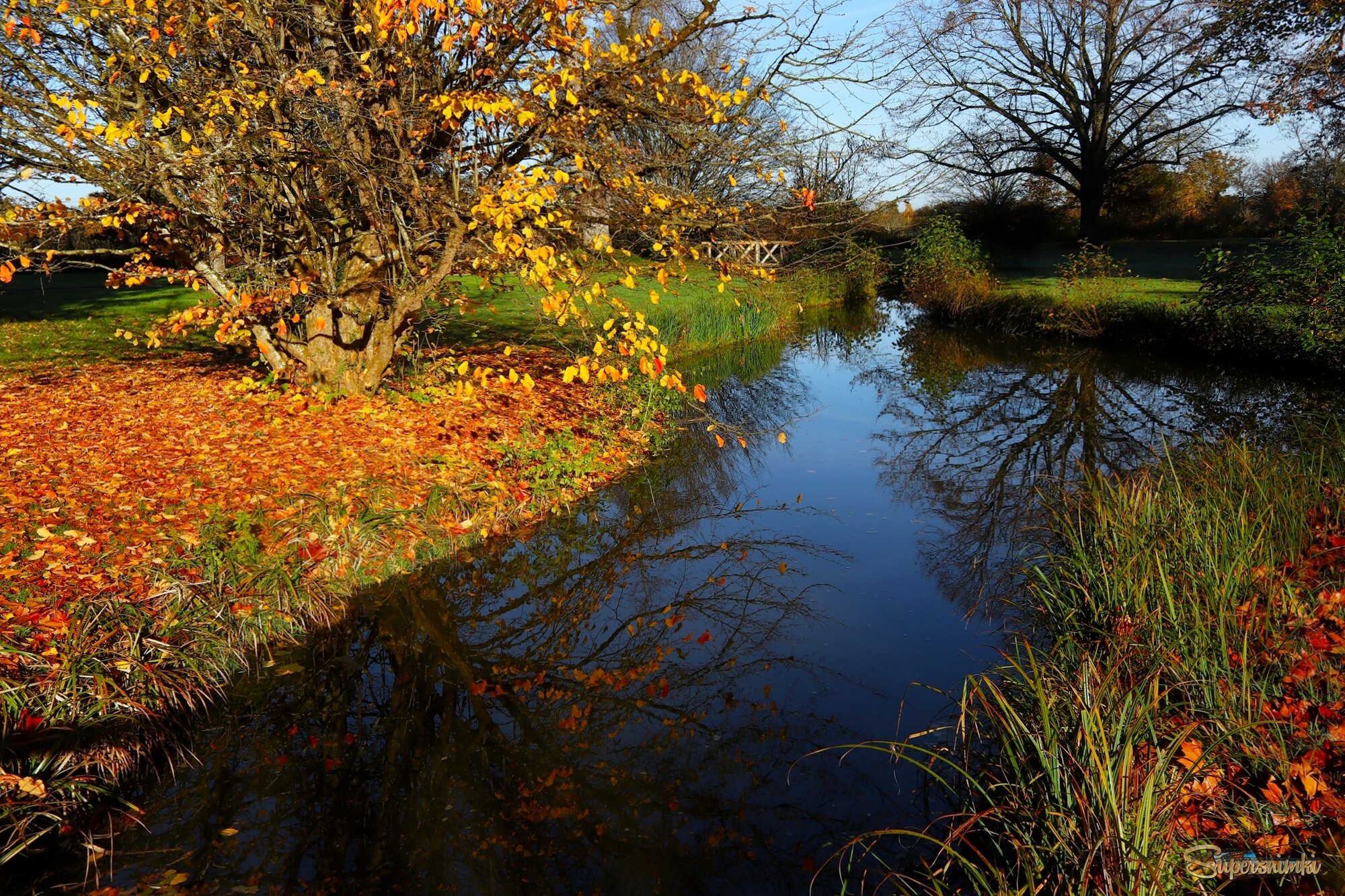 Тихий ручей