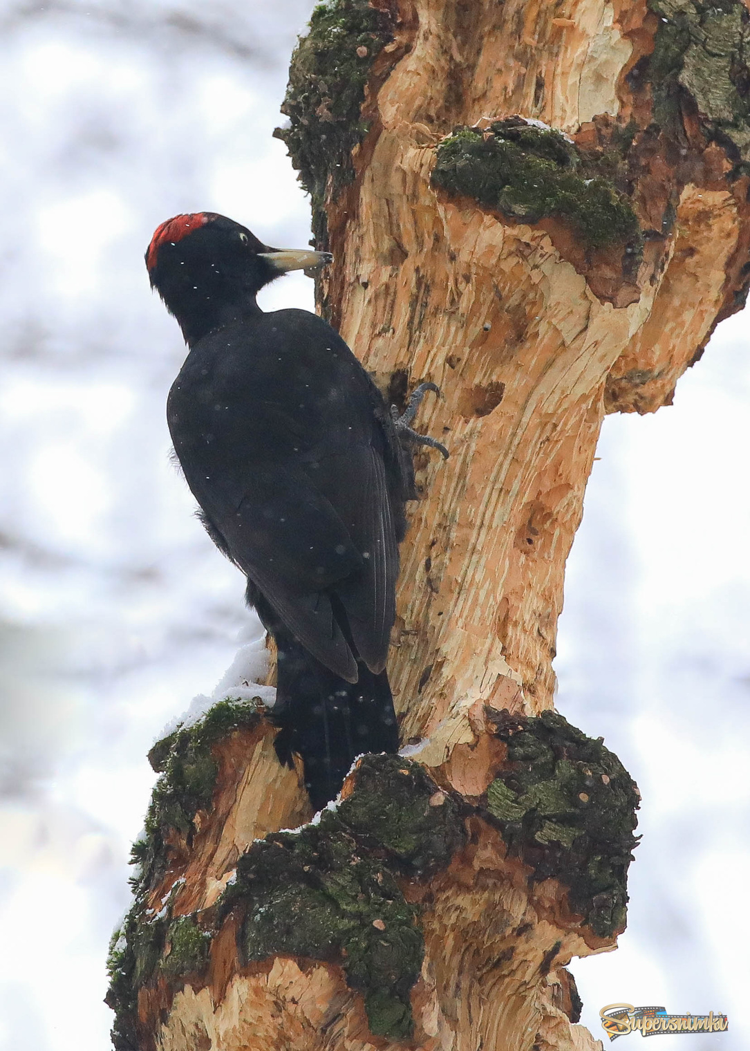 Резьба по дереву