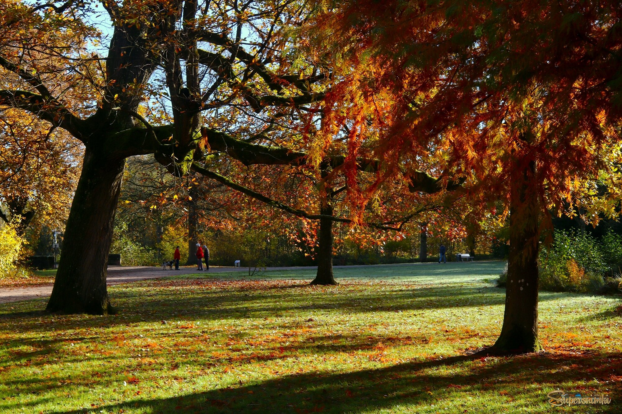 Осенний день в парке