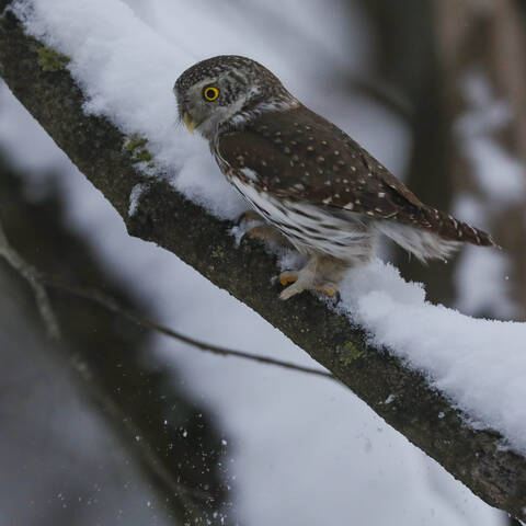 # 2
