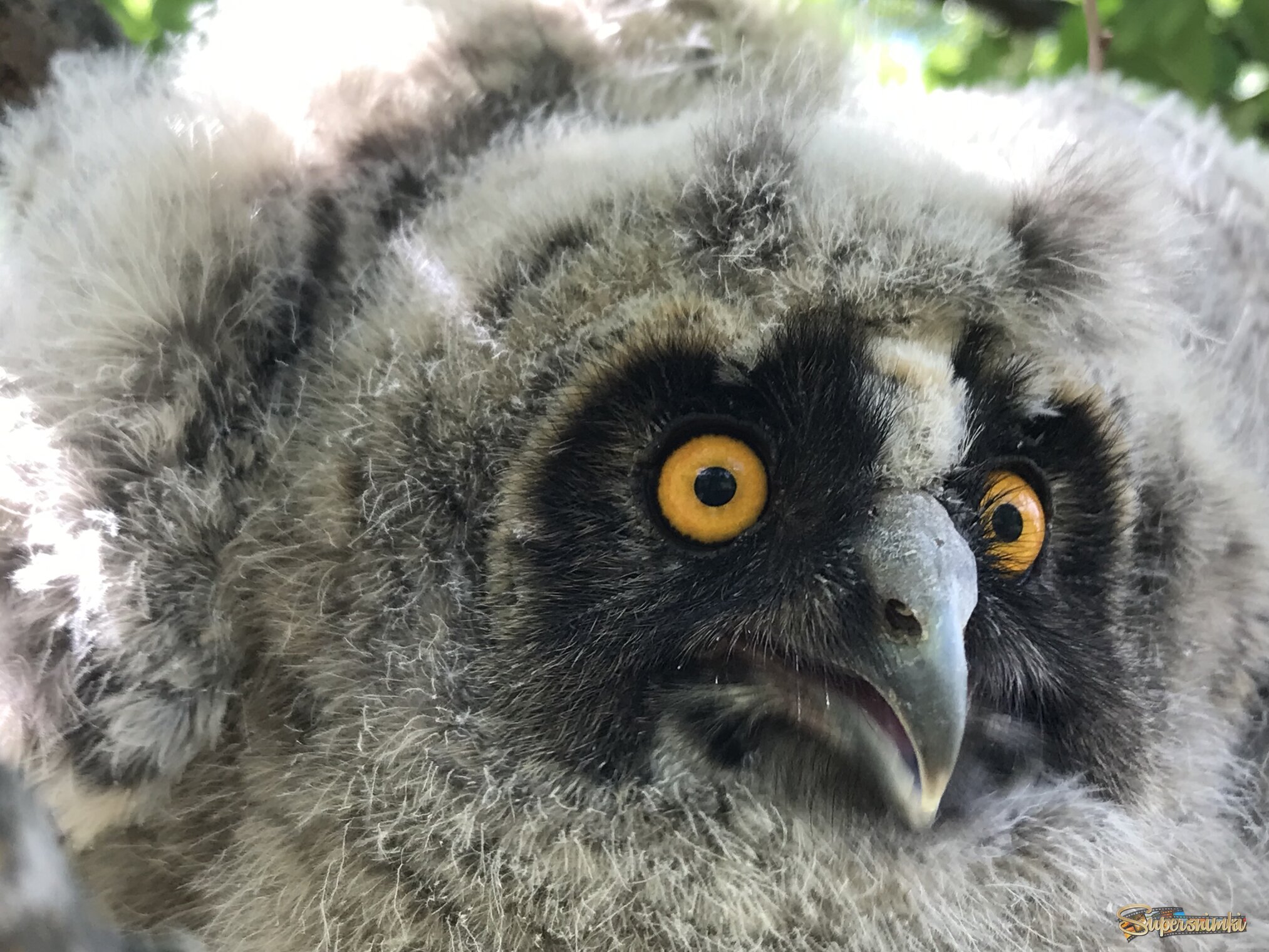 697331bfbf38b1914ce89f66