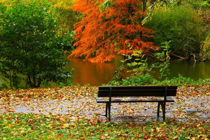 Скамейка с видом на осень