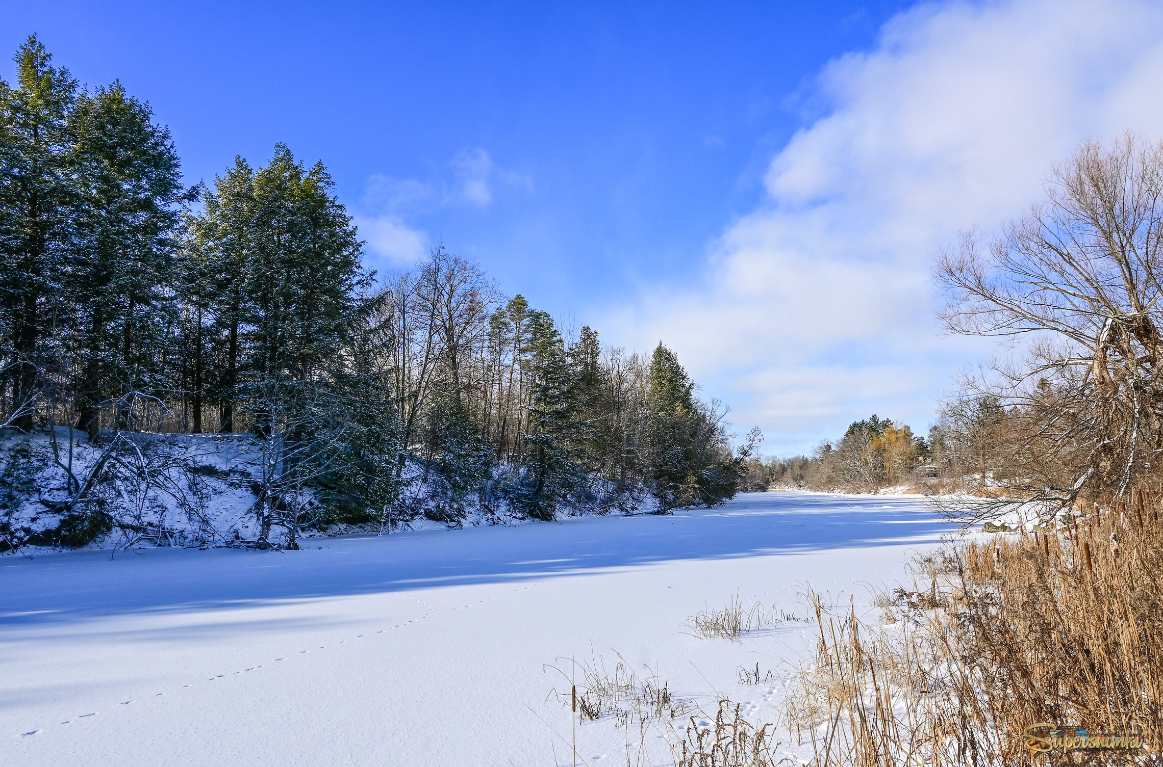 Мороз и солнце...