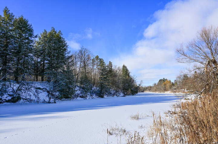 Мороз и солнце...